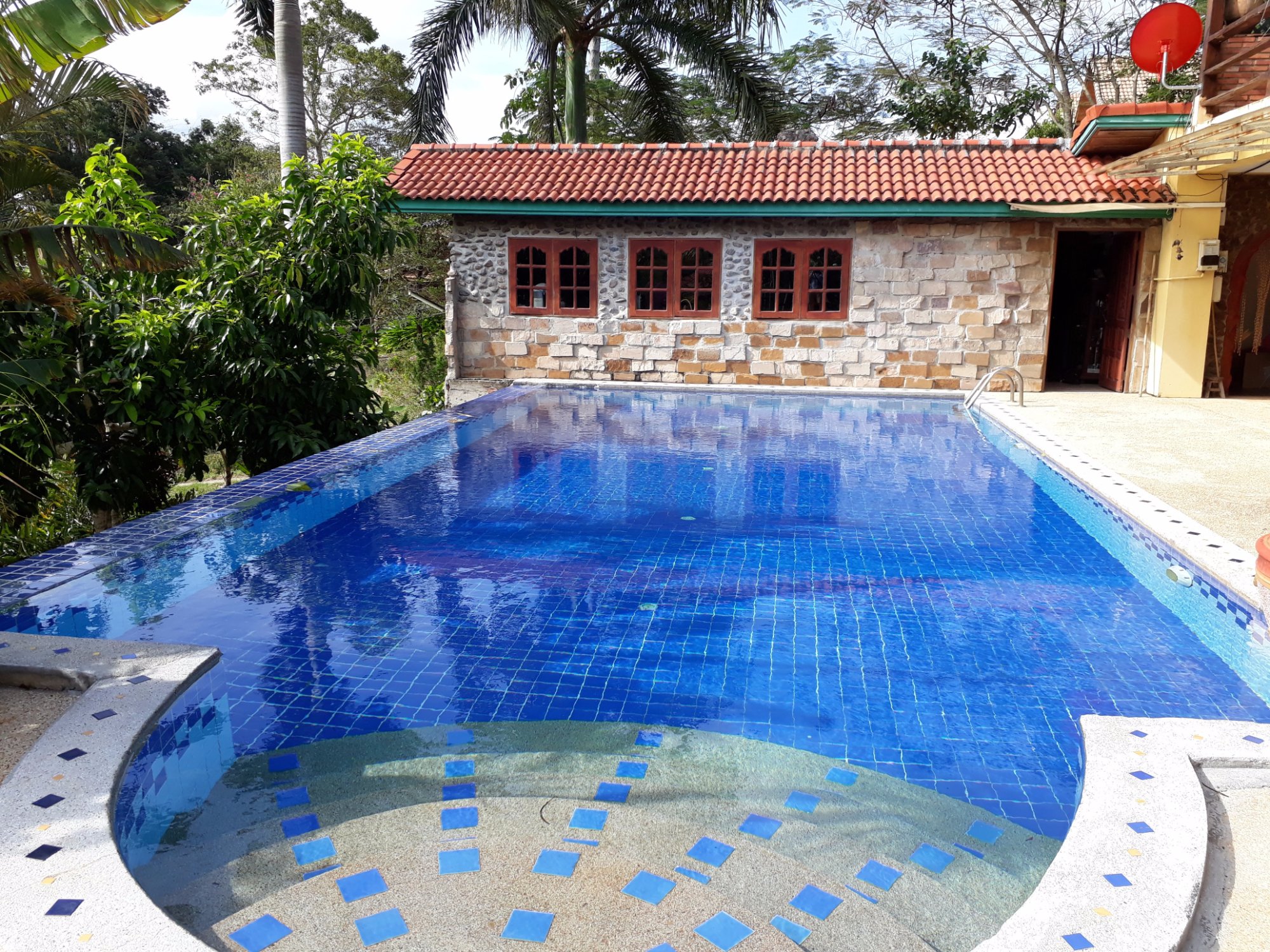Jungle View Homestay-泳池