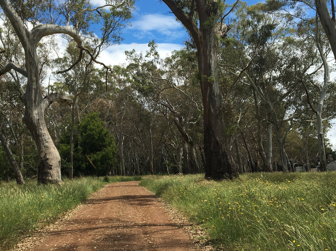 Mooralla Golf Club-Mooralla必去景点