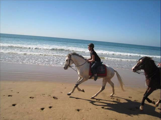 Equitation Ranchacienda-奥瑞尔必去景点