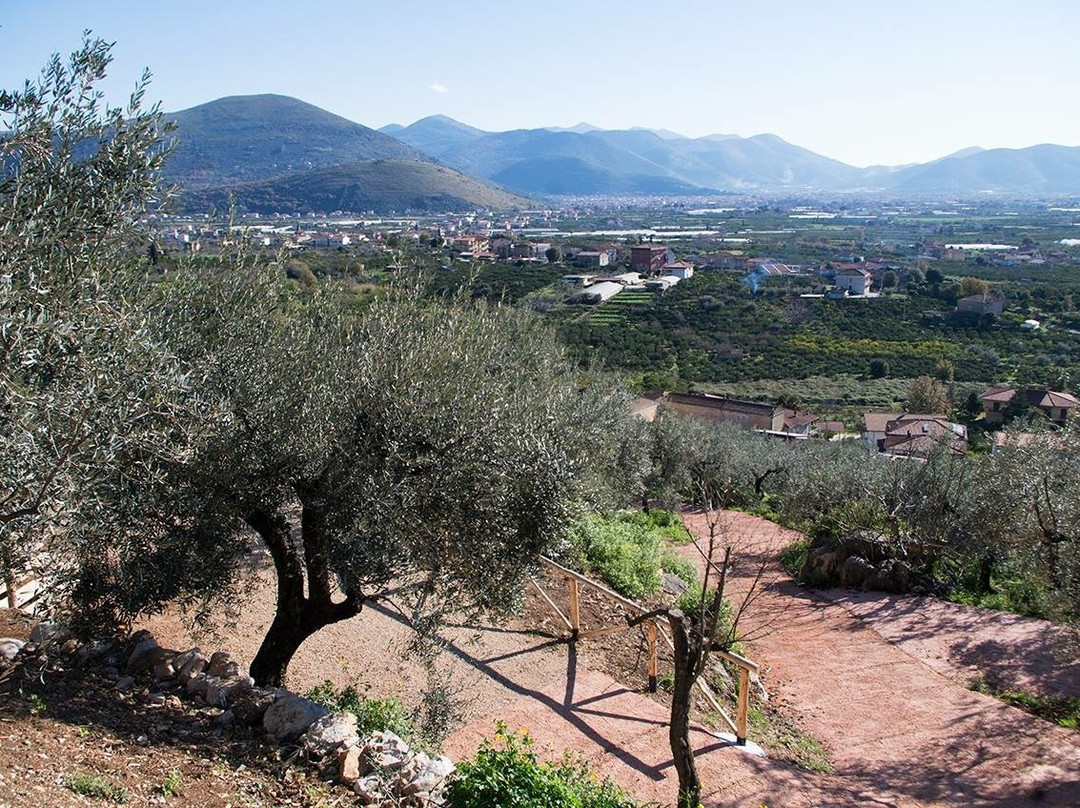 Casale Vallevigna