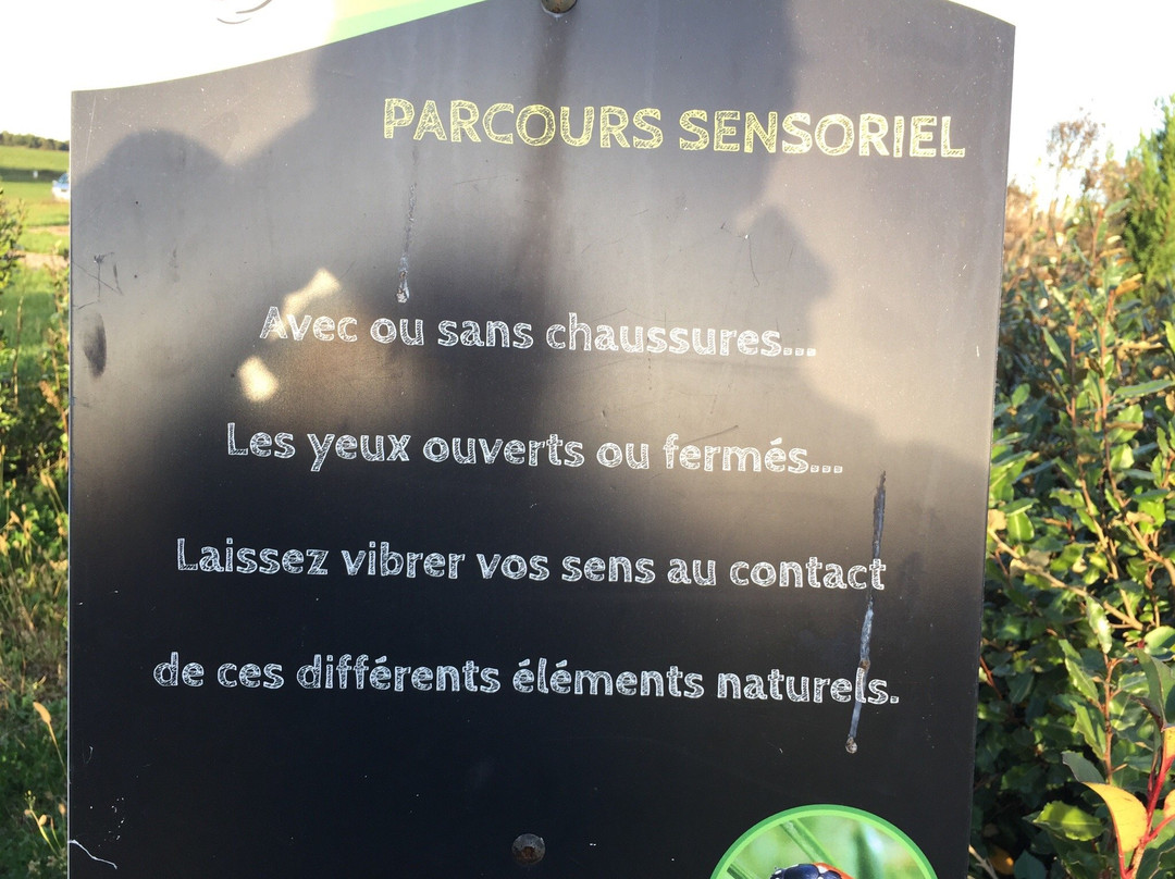 Sur le Sentier des Pas Perdus景点图片