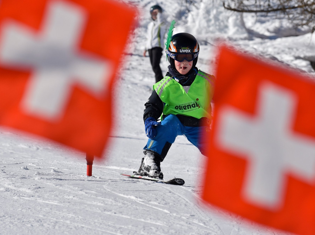 Adrenalin Skischule Lenk景点图片