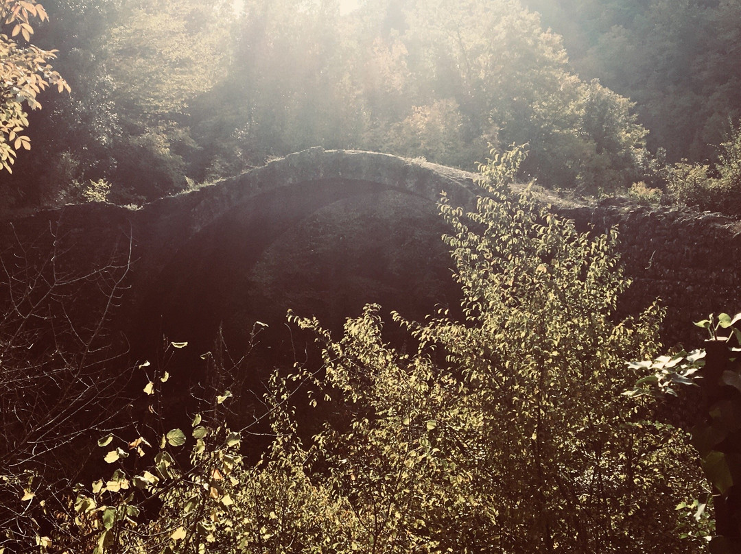 Ponte Della Pia景点图片
