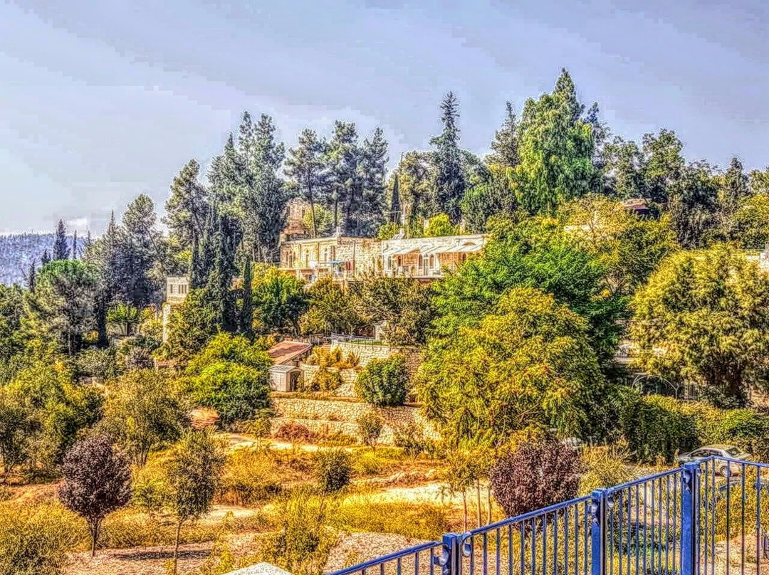 Ein Kerem景点图片