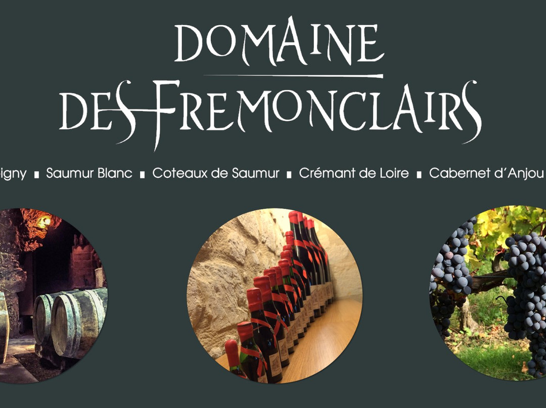 Domaine des Frémonclairs景点图片