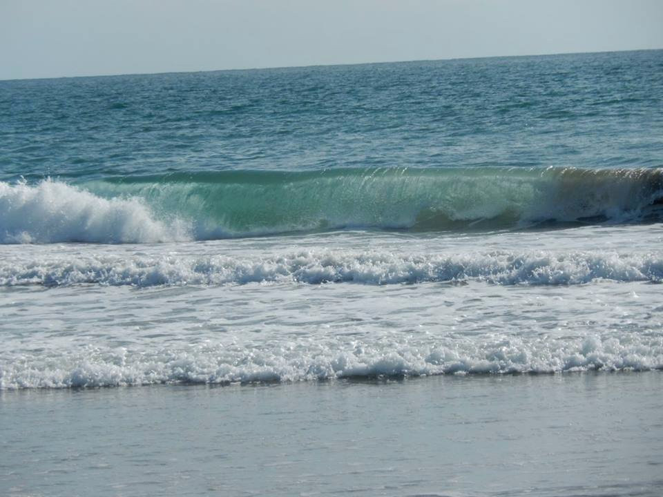 Bolsa Chica State Beach-亨廷顿海滩必去景点