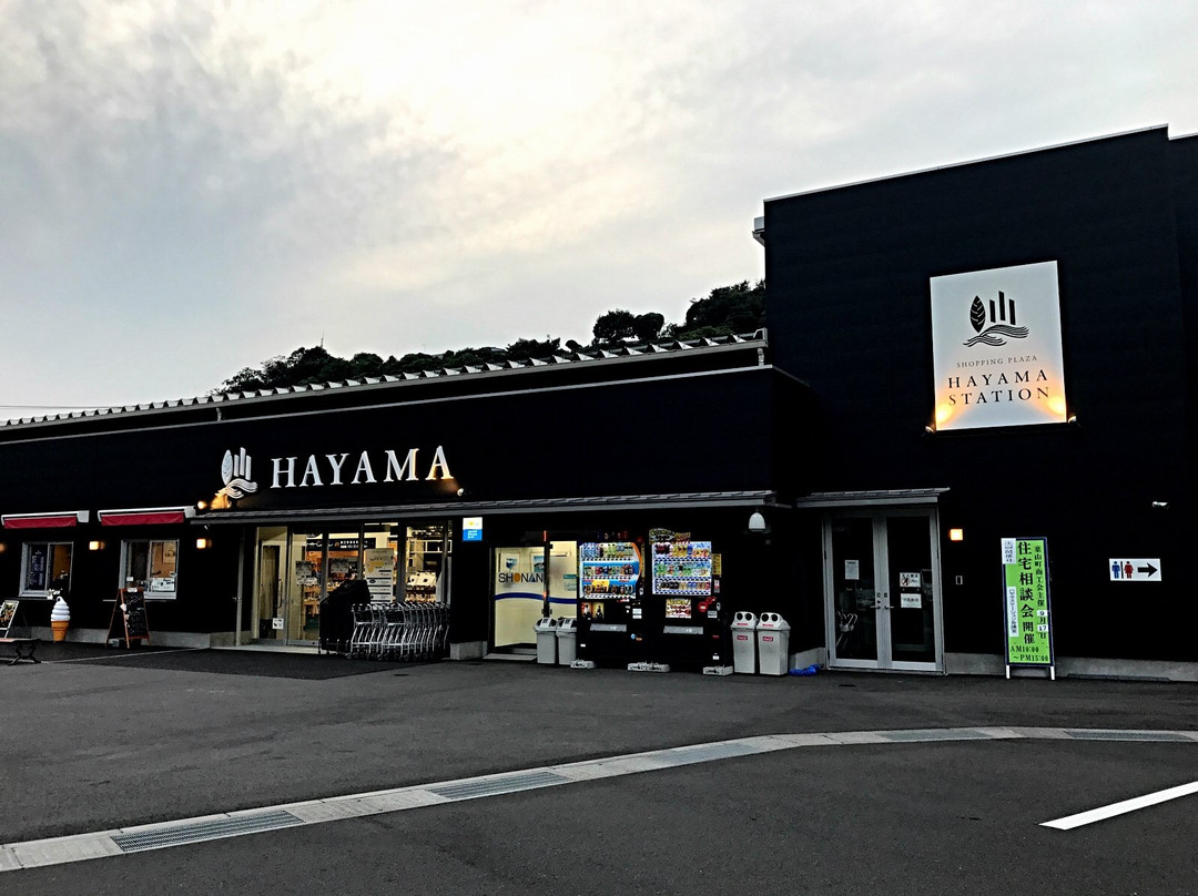 Hayama Station景点图片