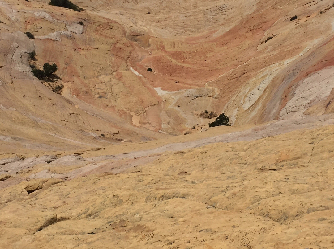 Yellow Rock Trail-卡纳布必去景点
