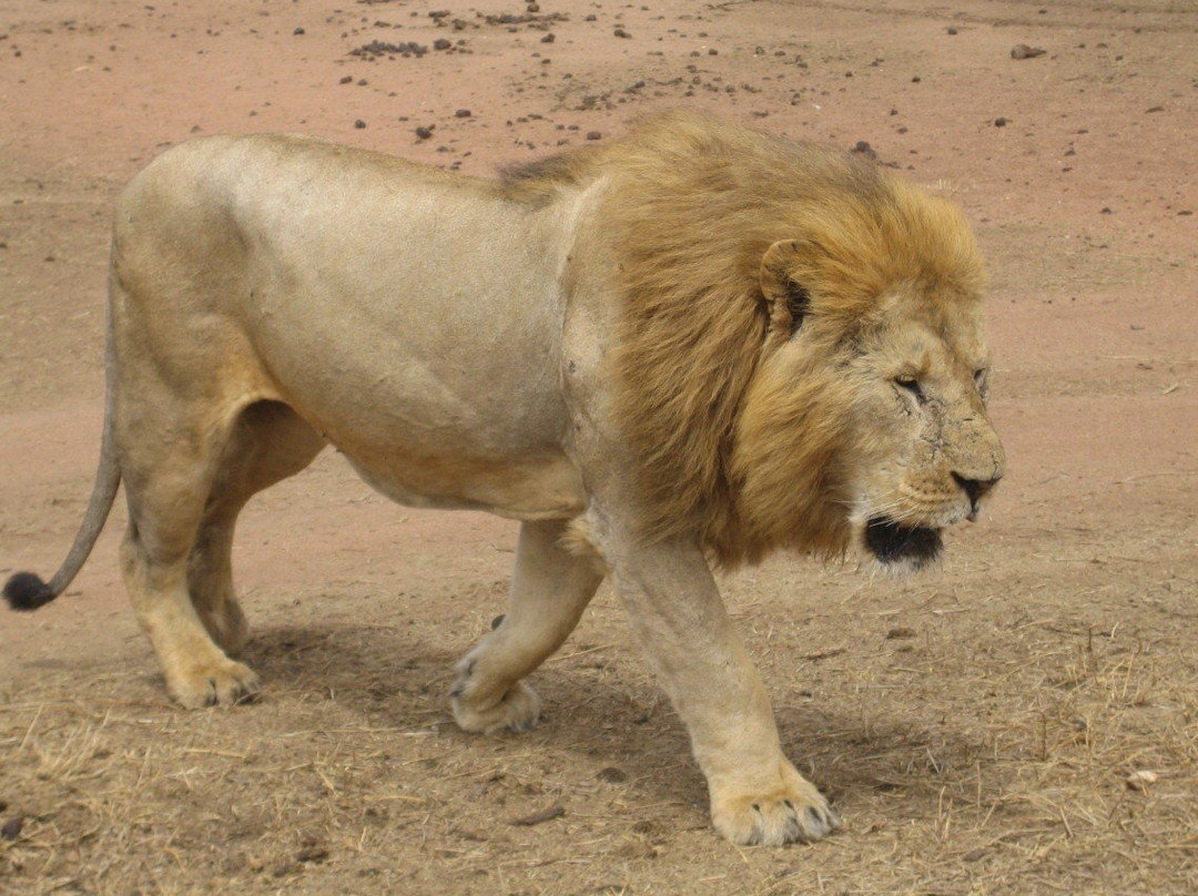 Gametrackers-Rongai必去景点