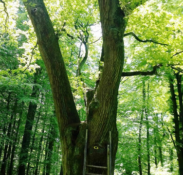 Gesundheit & Transformation-Eutin必去景点