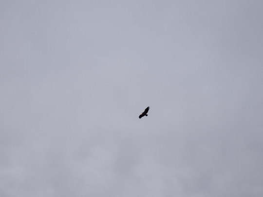 Sur Tour-加的斯市必去景点