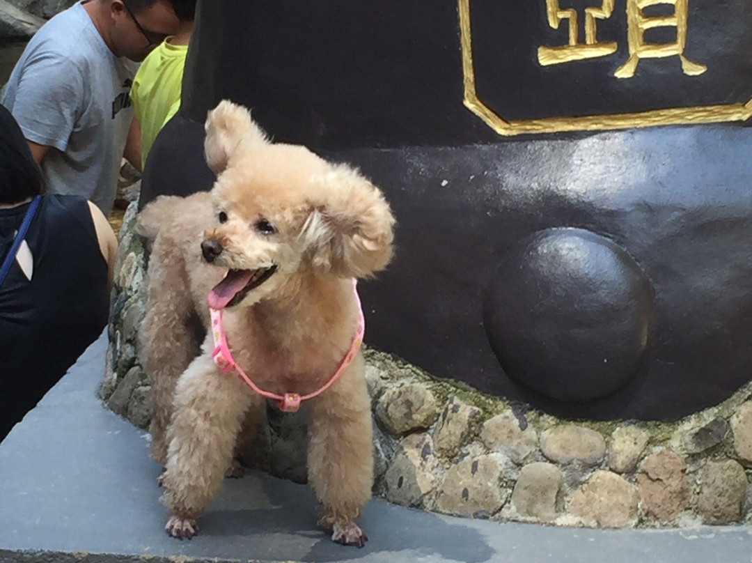太湖源景点图片