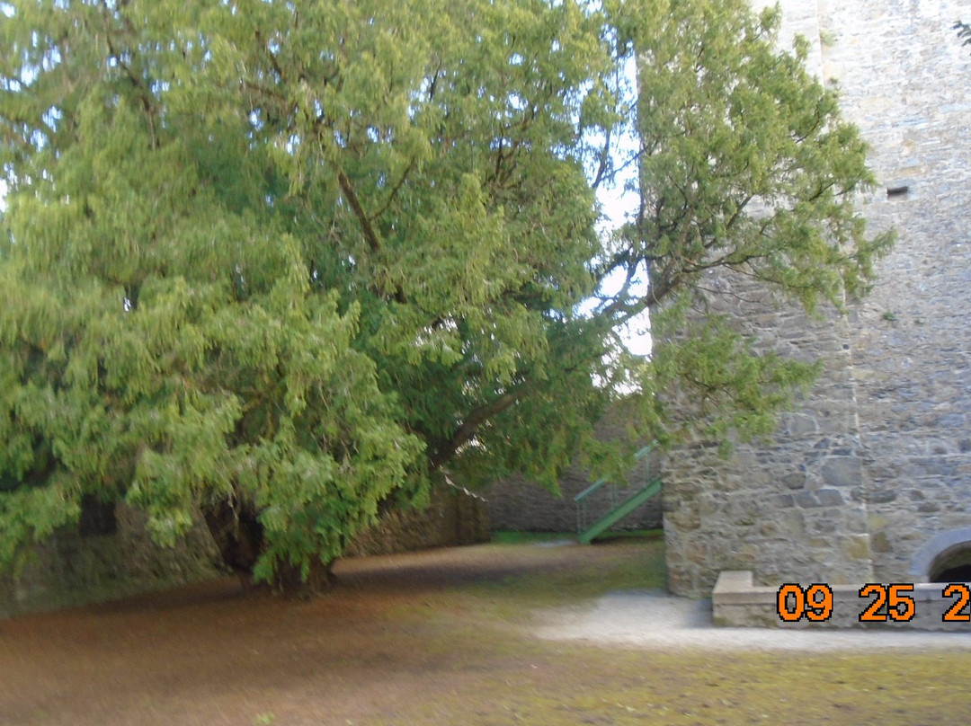 Adare Castle-利默里克郡必去景点