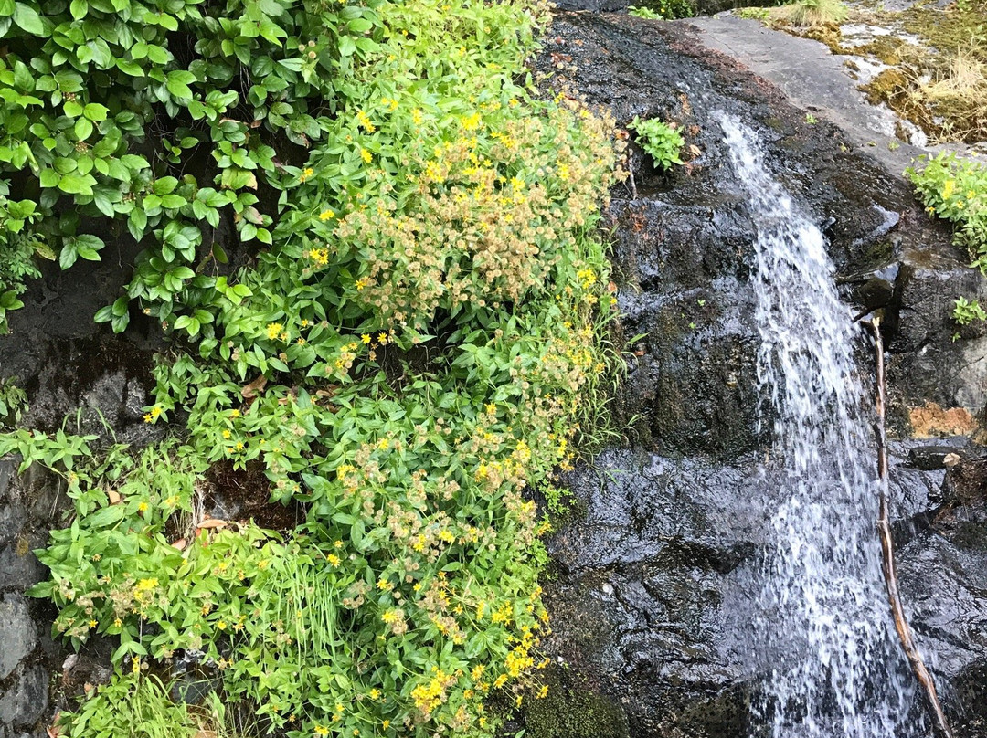 Mary's Peak Trail-Philomath必去景点