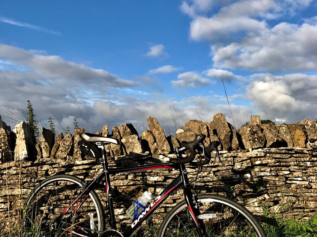 The Bicycle Hub景点图片