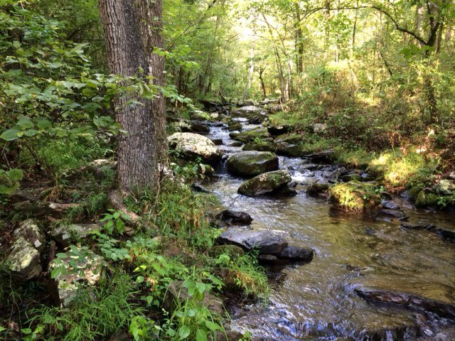 Collins Creek Cascade景点图片