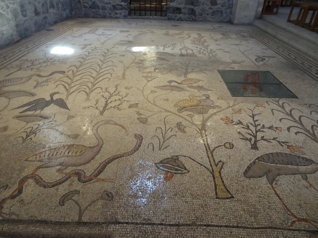 Tiberias Hot Springs - Hamei Tveria-提比利亚必去景点