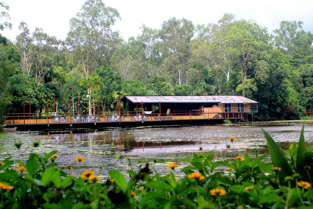 The Billabong Kuranda Campground