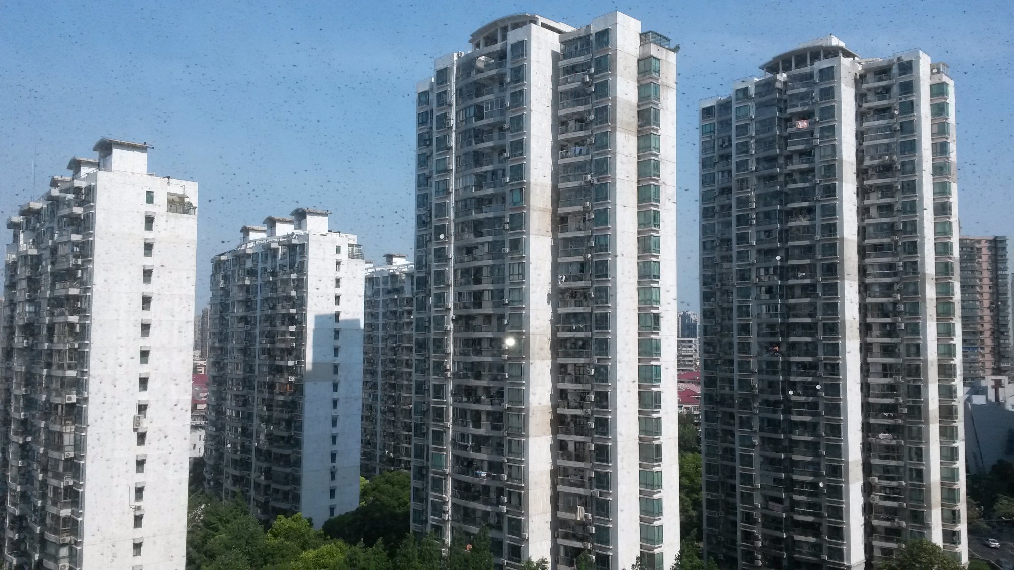 上海镇坪智选假日酒店-酒店景观