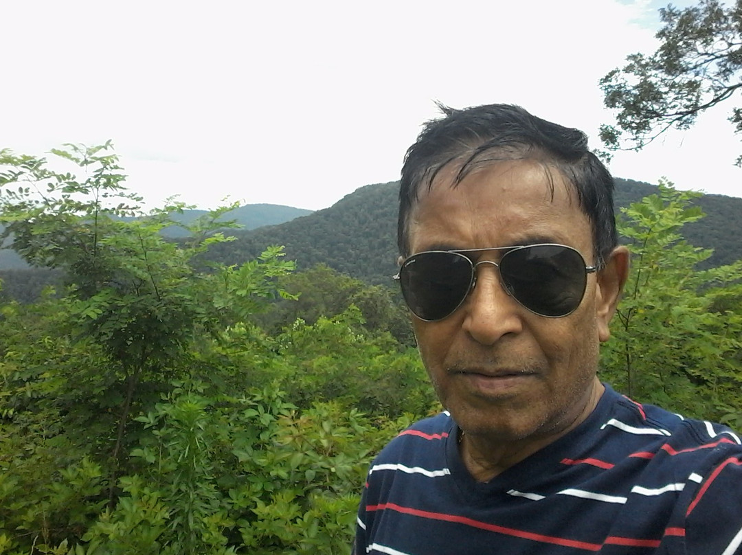 Sri Somesvara Temple-Clyde必去景点