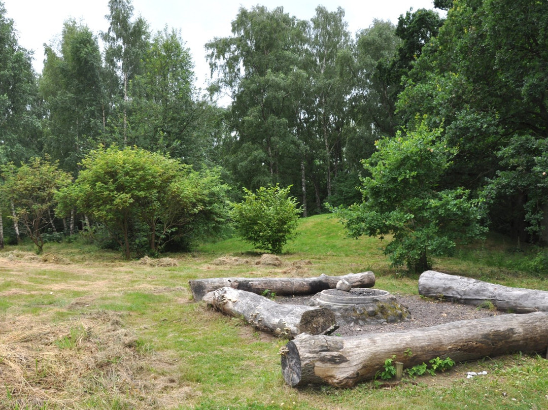 Ättekulla Naturreservat-赫尔辛堡必去景点