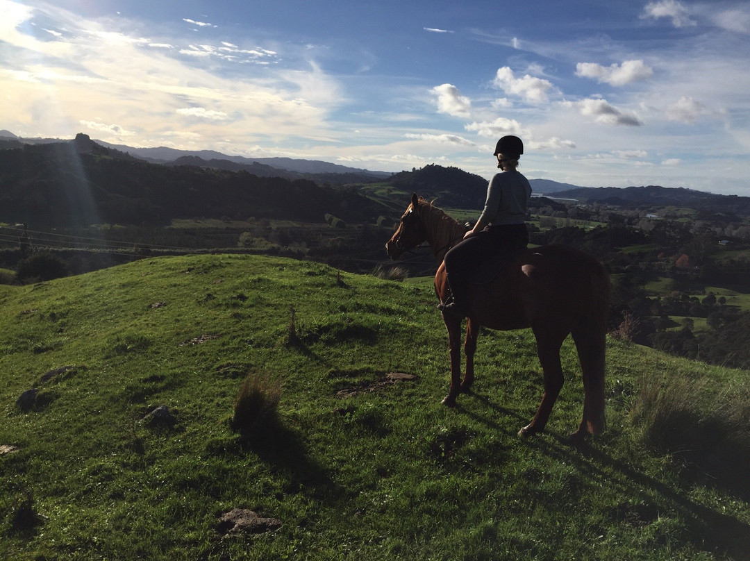 Rangihau Ranch-Coroglen必去景点