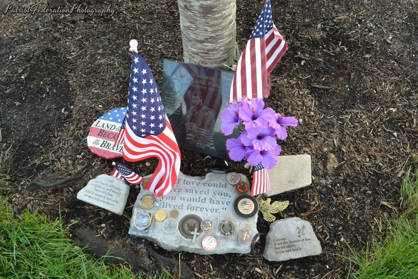 Calverton National Cemetery景点图片