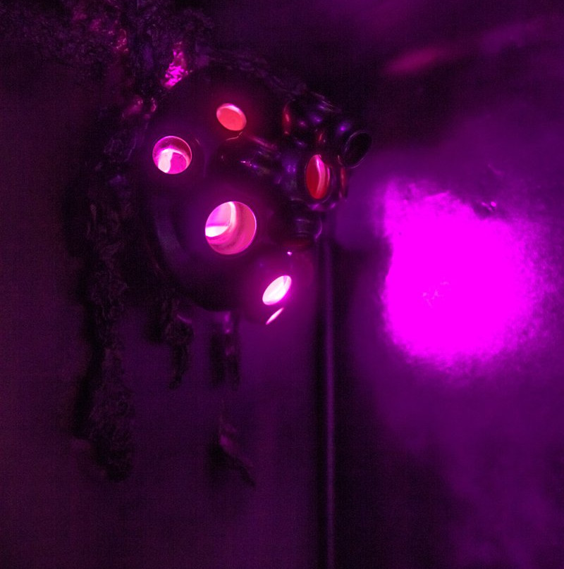 Alien Escape escape room景点图片
