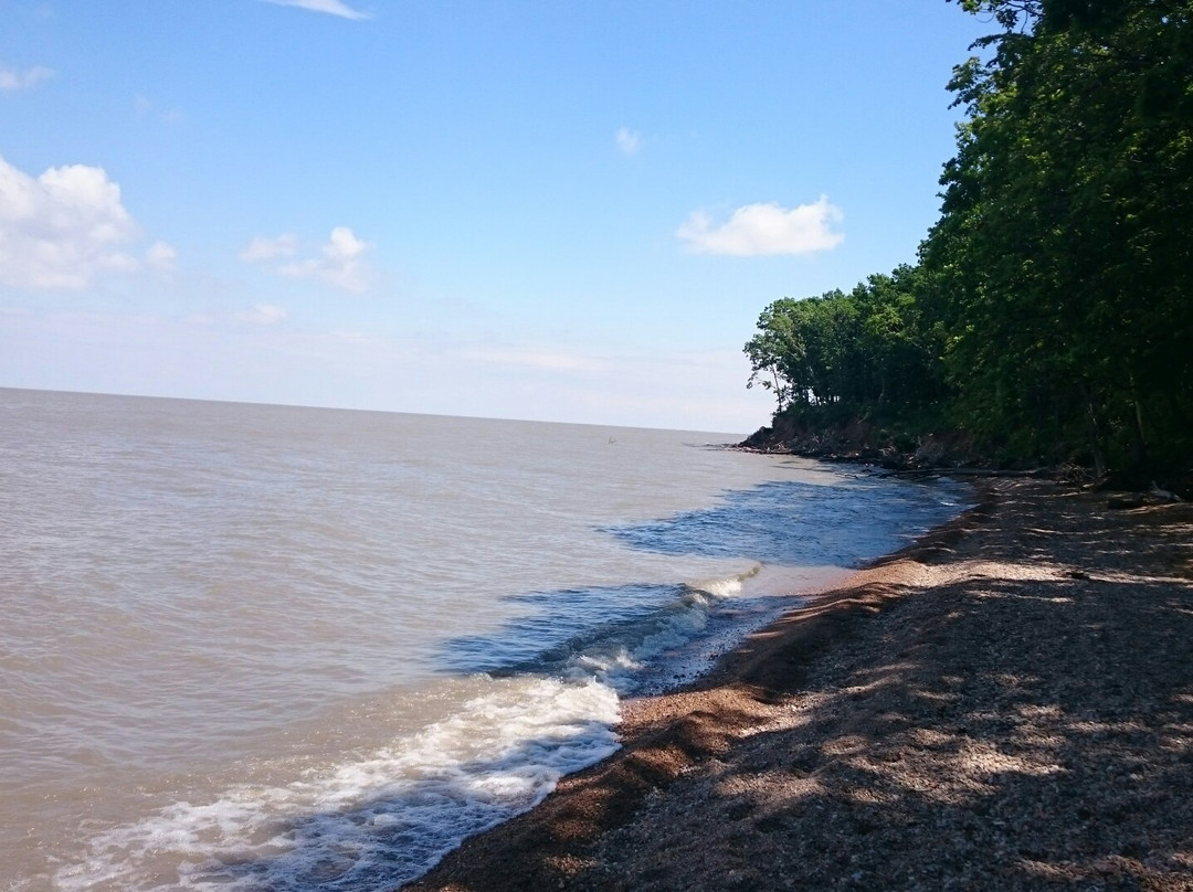 Khanka Lake景点图片