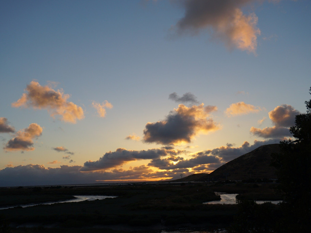 Don Edwards San Francisco National Wildlife Refuge-费利蒙必去景点
