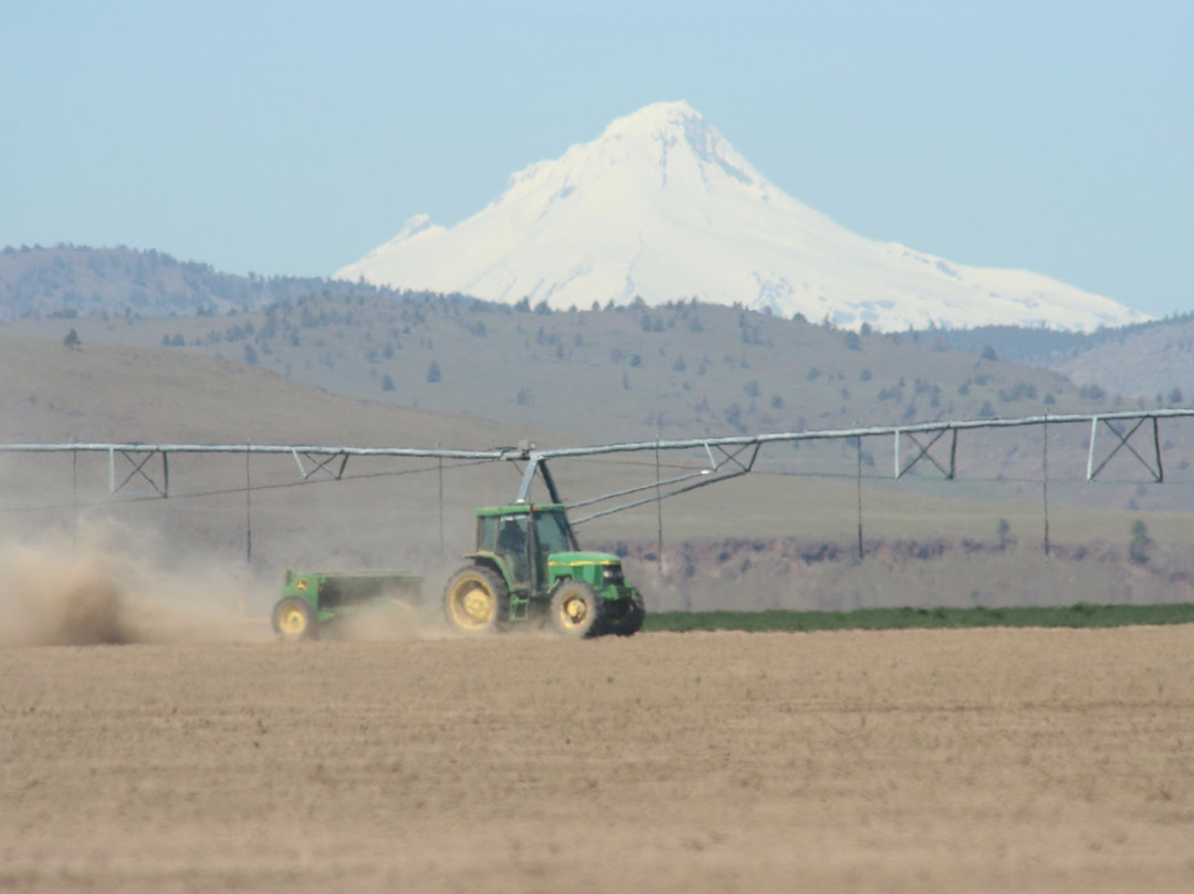 Mecca Grade Estate Malt & Tap Room-Madras必去景点