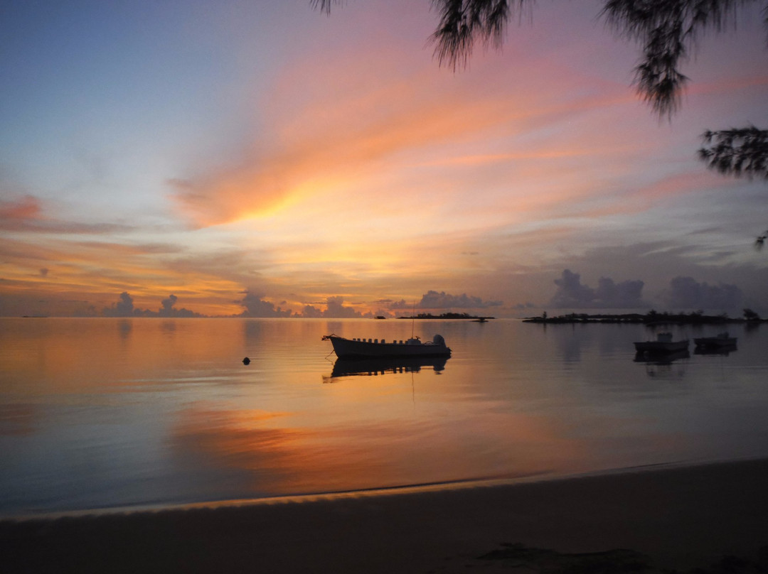 Forfar Field Station-Andros必去景点