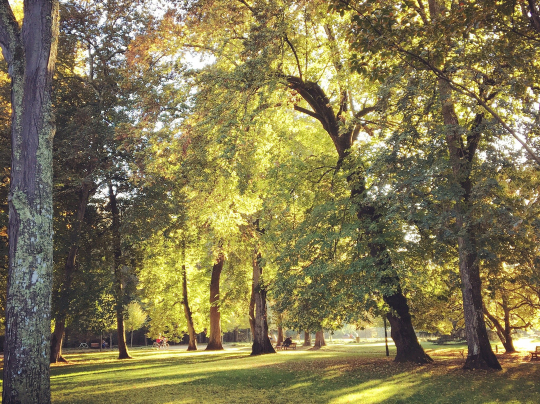 Parc Jean Rameau景点图片