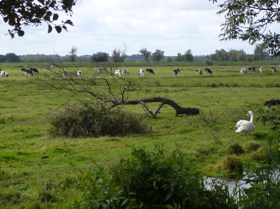 Barnby酒店住宿-Waveney Inn