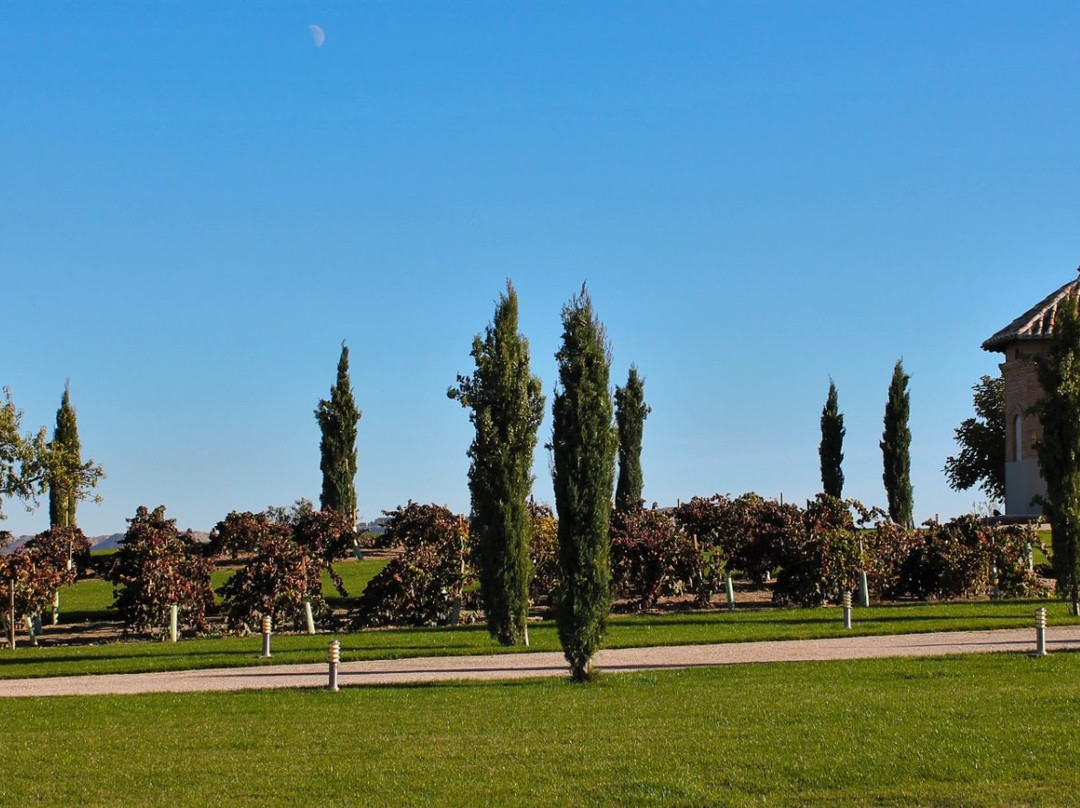 Bodegas y Vinedos Casa del Valle-Yepes必去景点
