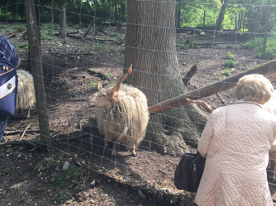 Wildpark Ernstbrunn-Ernstbrunn必去景点