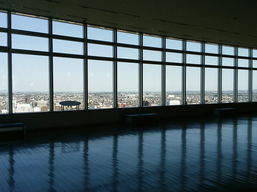 Takasaki City Hall Observation Deck景点图片