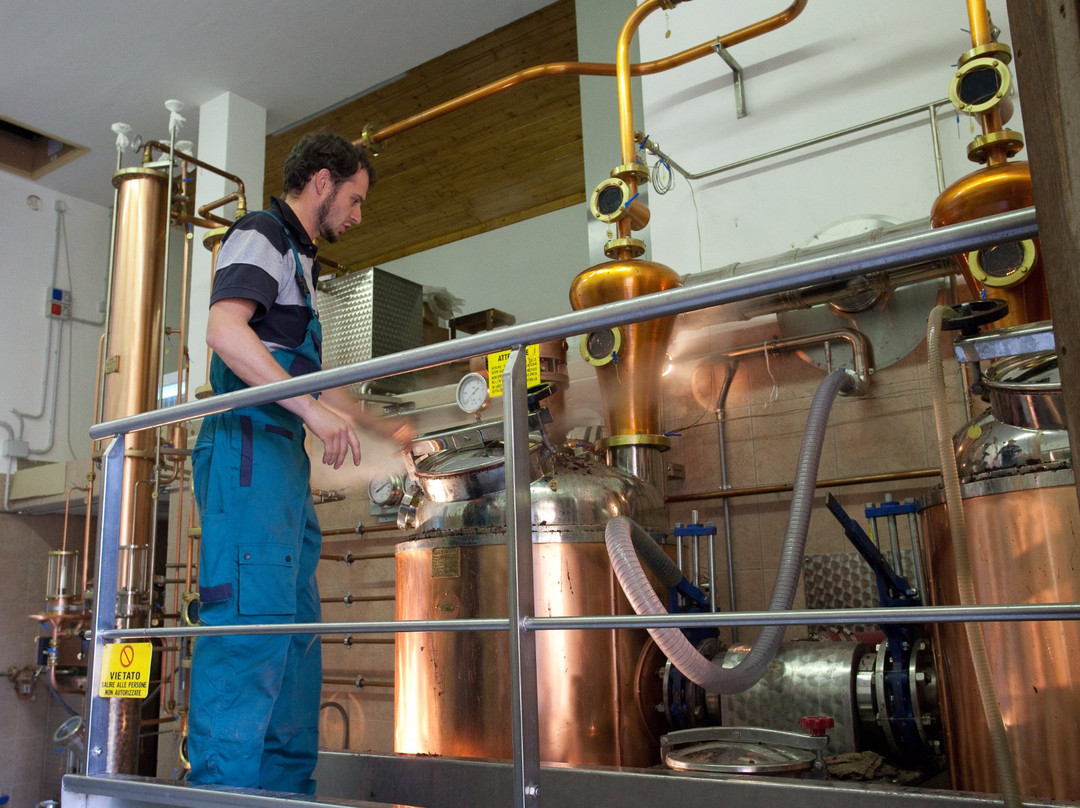 Distilleria Rossi d'Anaunia景点图片