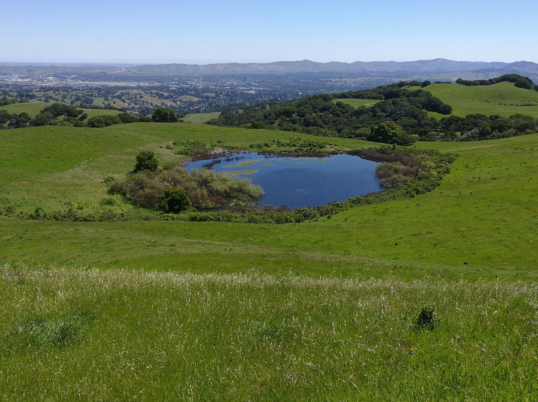 Briones Park-Orinda必去景点