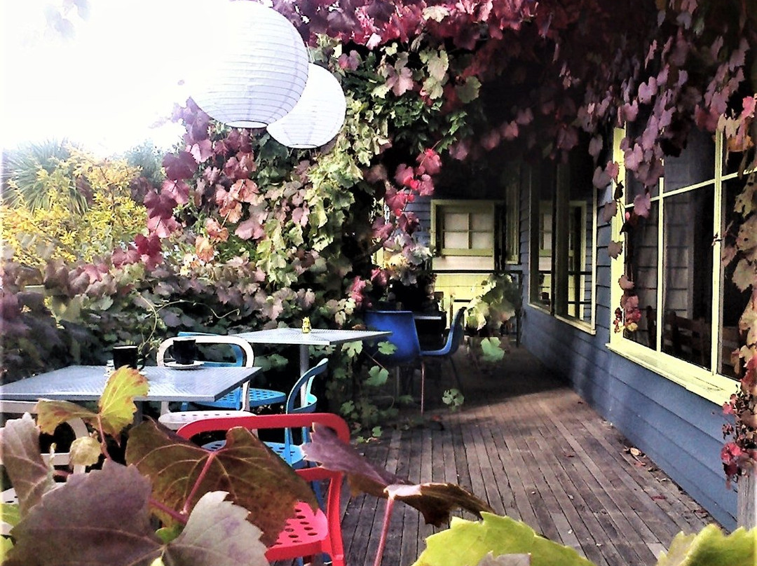 Maze House-Newlyn必去景点