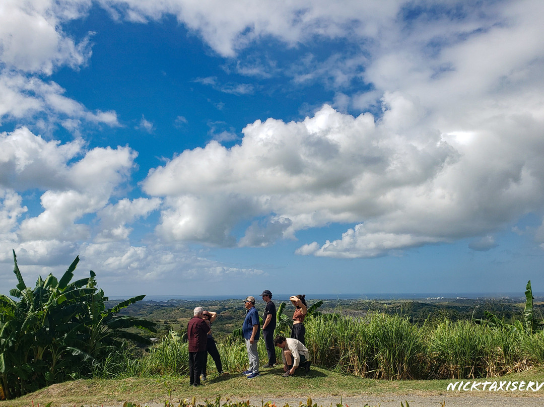 Nick Taxi Servicestt-西班牙港必去景点