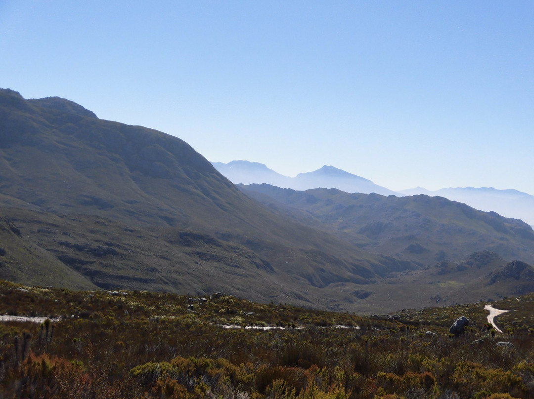 Hottentots Holland Nature Reserve-Grabouw必去景点