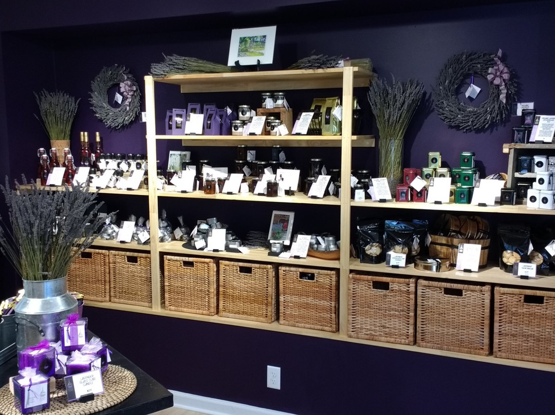 Pelindaba Lavender Amelia Island-阿米莉亚岛必去景点