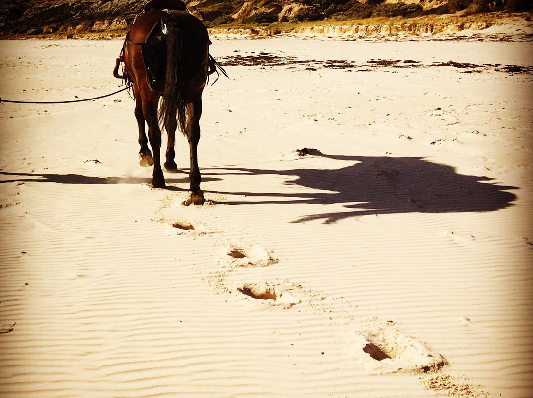 Port Willunga Beach Rides景点图片
