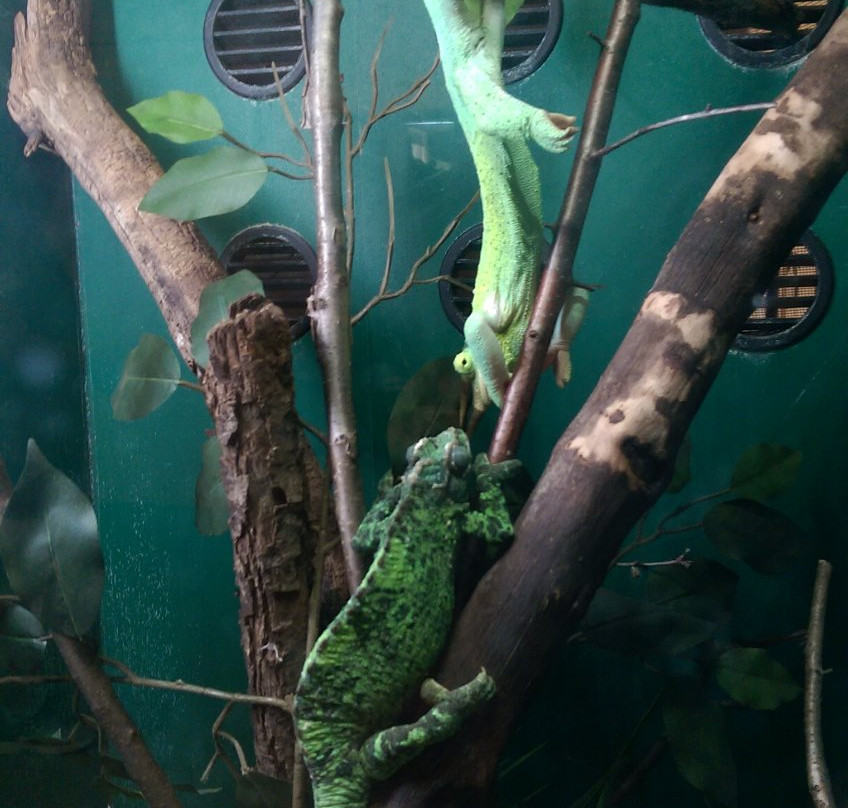 Elawa Farm-Lake Forest必去景点