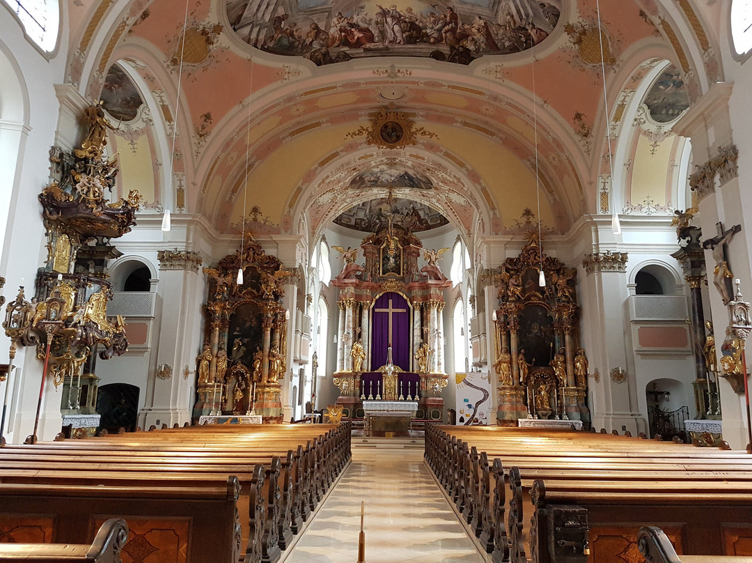 Pfarrkirche St. Martin景点图片