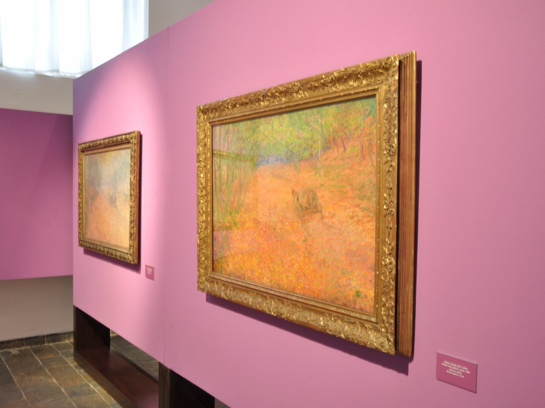 Alsova jihoceska galerie景点图片