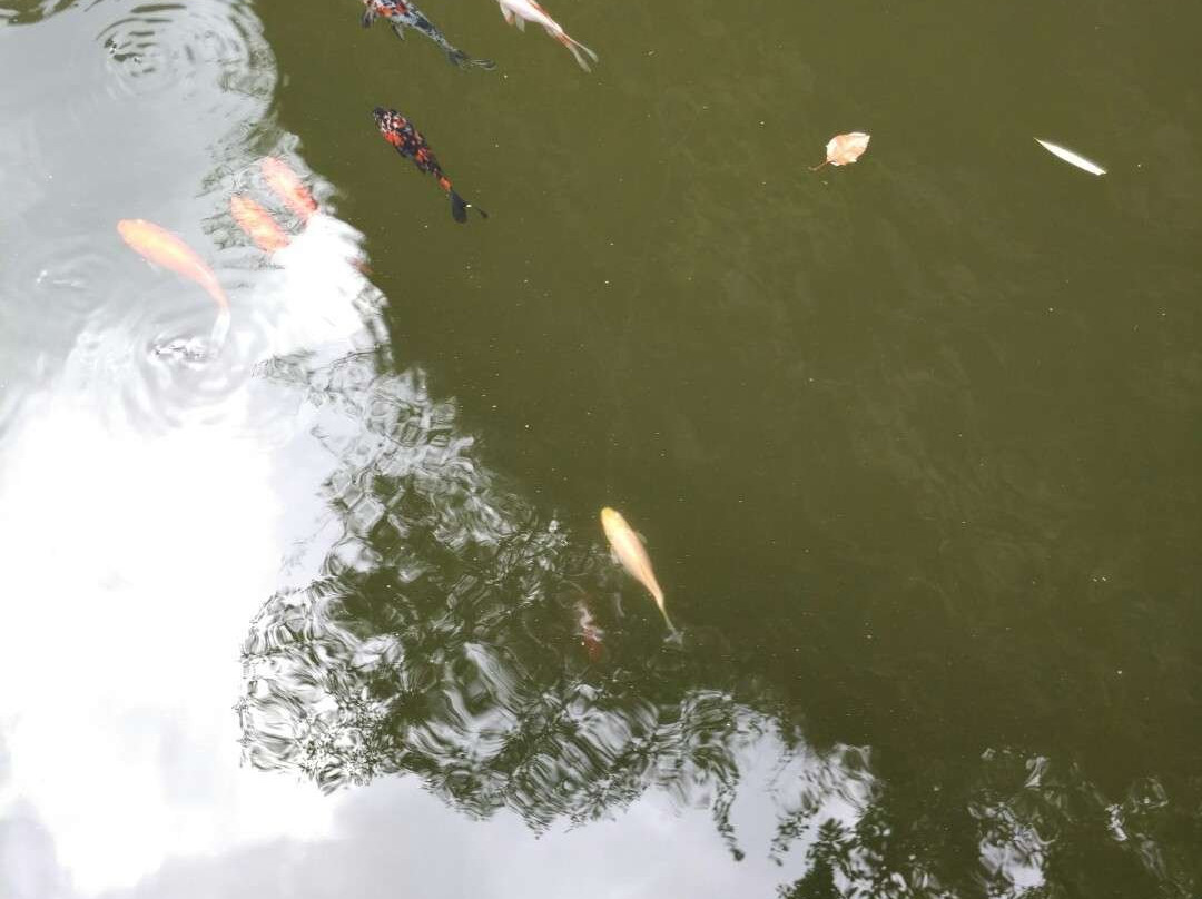 诸暨斗岩景点图片