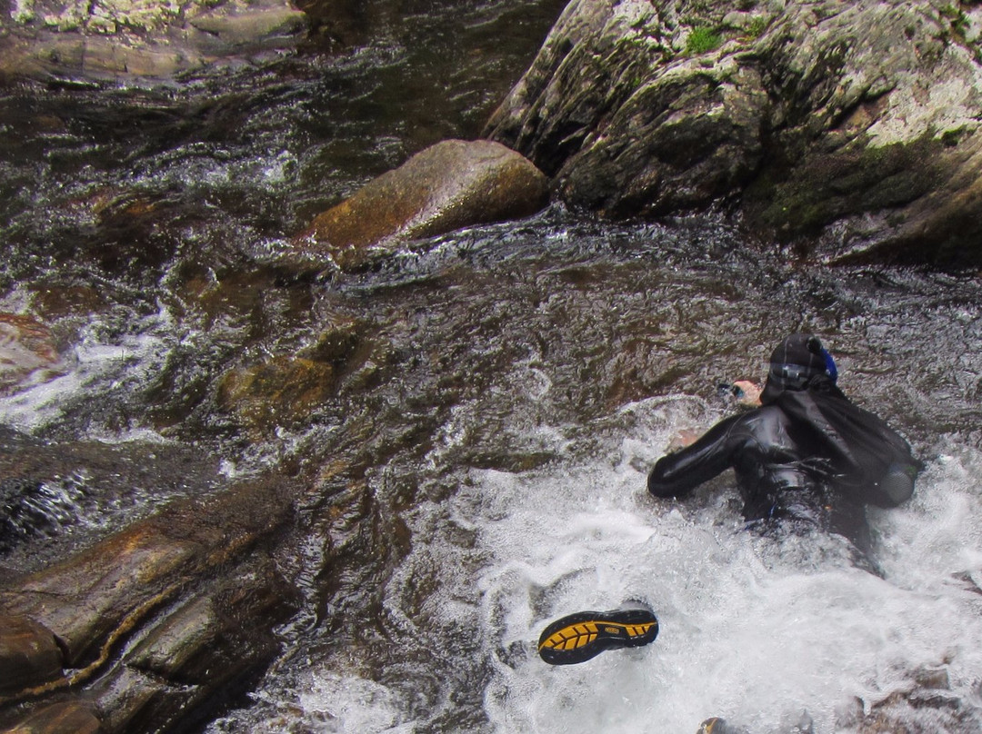 Oxbow River Snorkeling-Rosman必去景点