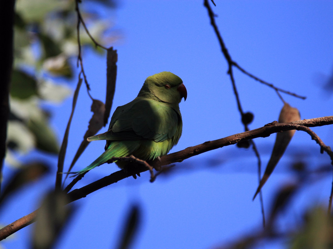 Parc Du Paradou-Golfe-Juan Vallauris必去景点